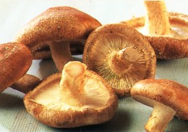 shiitake-mushrooms.jpg
